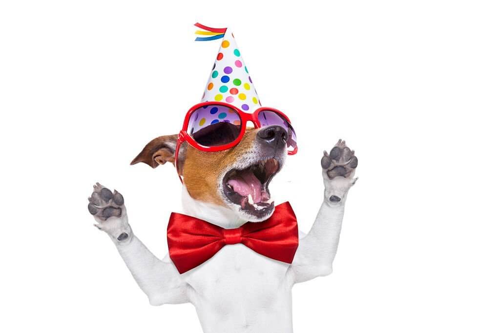 birthday jokes