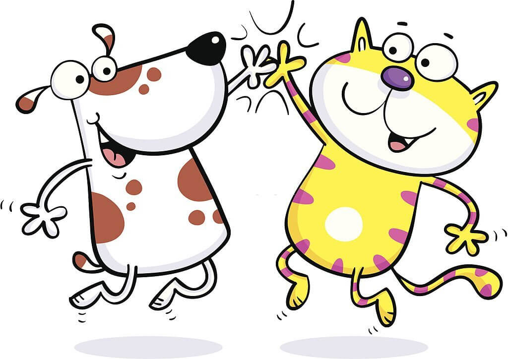 cat jokes
