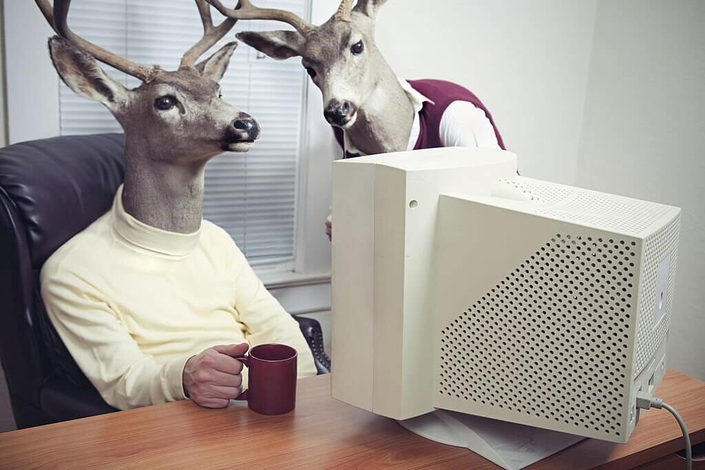 deer puns