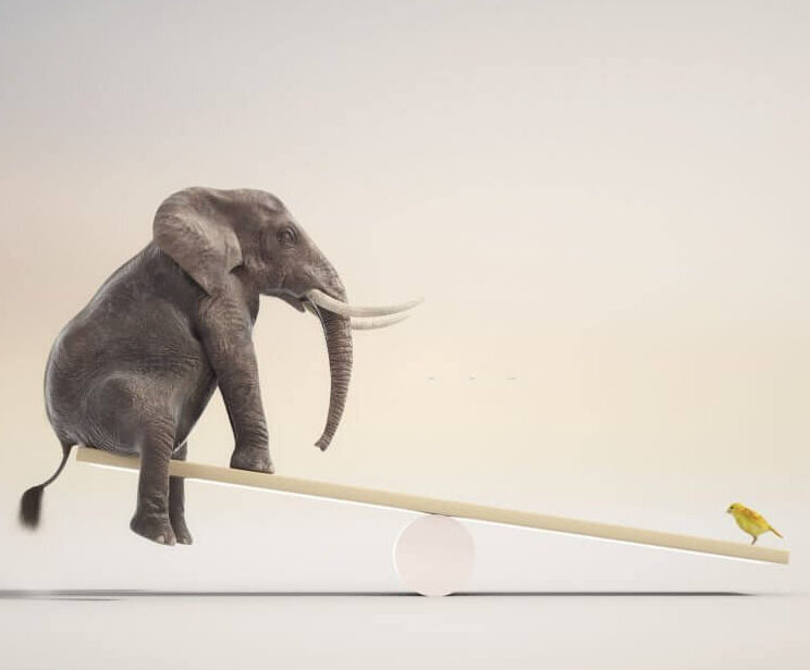 elephant jokes
