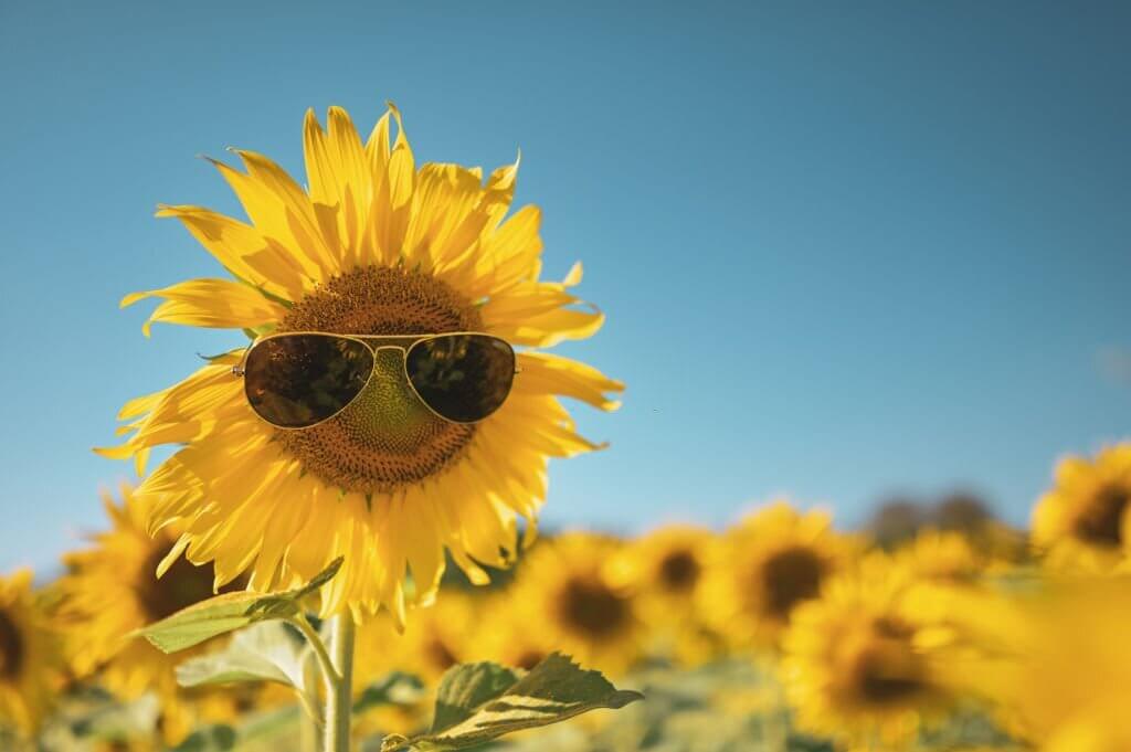 spring puns