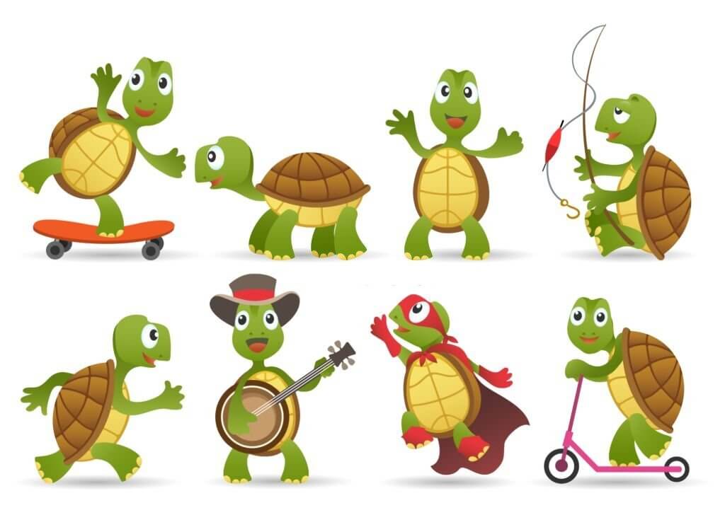 turtle puns