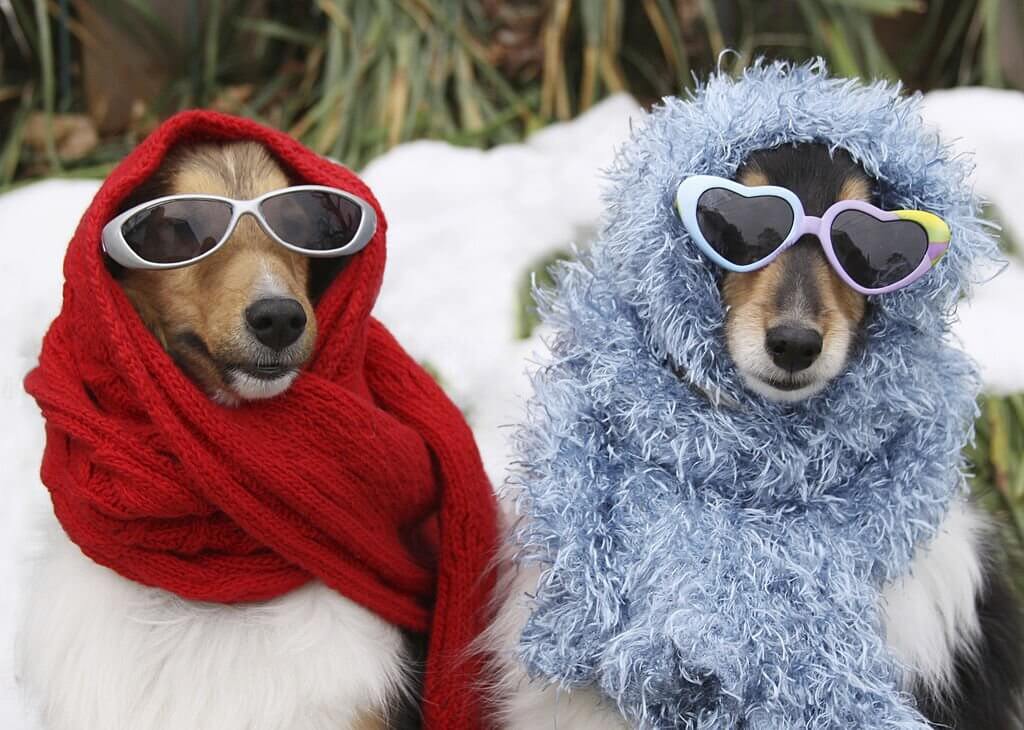 winter puns