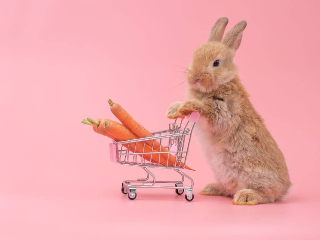 bunny jokes