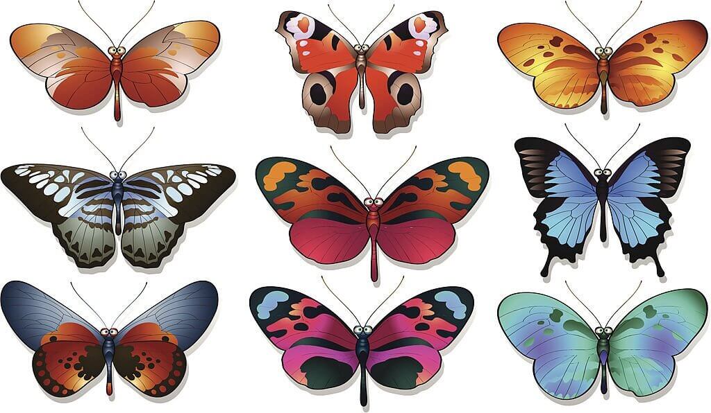 butterfly puns