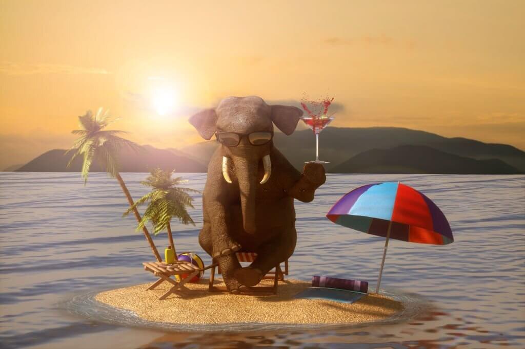 elephant puns