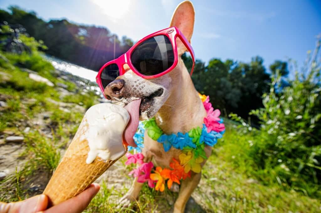 ice cream jokes