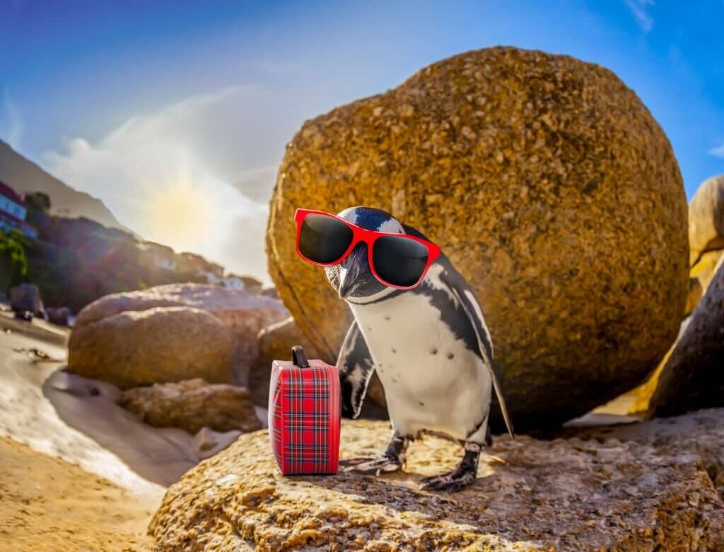 penguin jokes