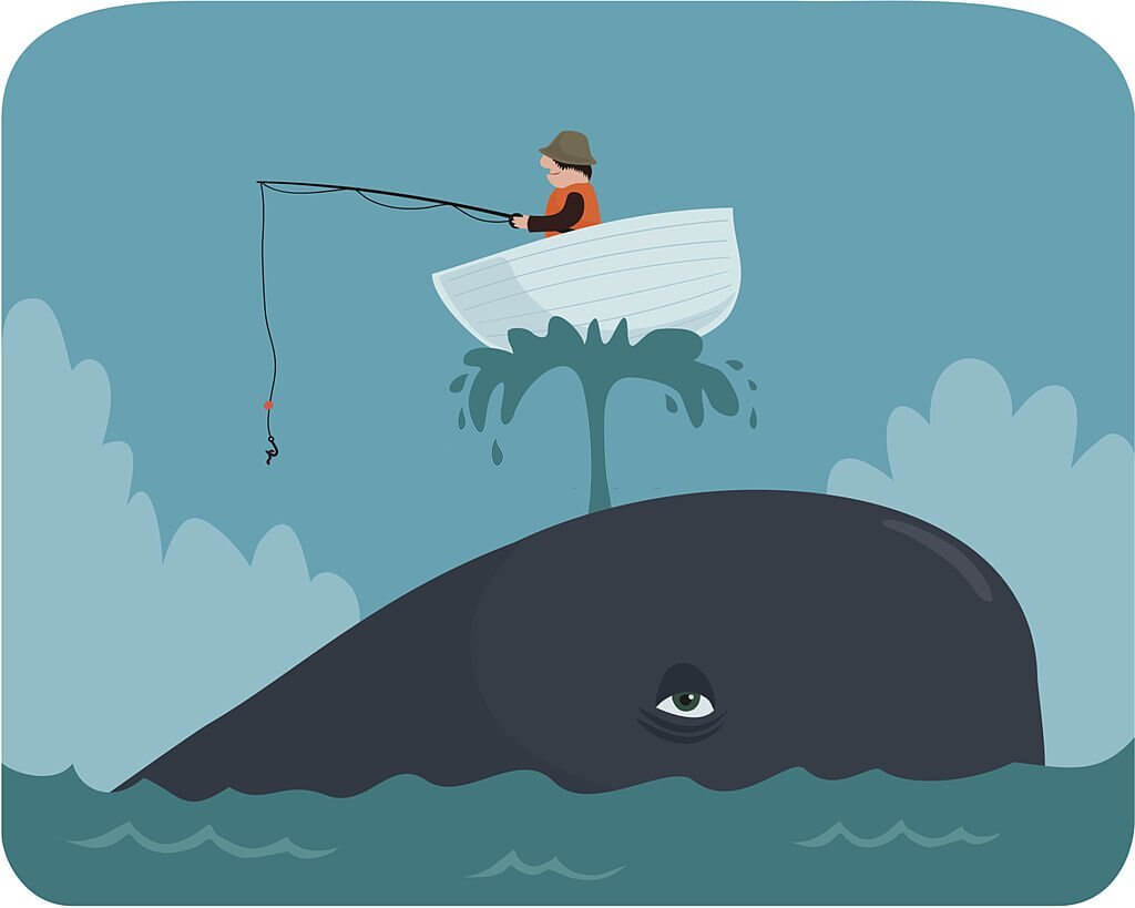 whale jokes